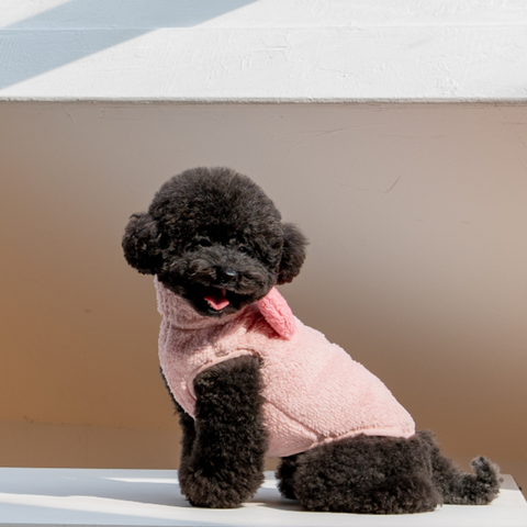 DAN -  Disney fleece jacket _ Piglet
