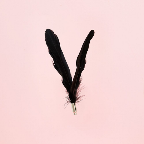 VETRESKA®TEASER WAND WITH LASER HANDLE – FEATHER -REPLACEMENT