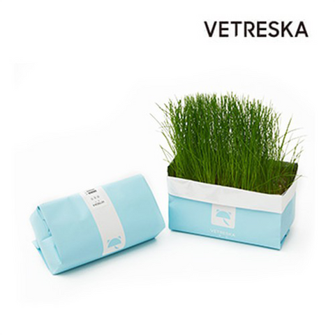 VETRESKA® CAT GRASS SOILLESS SEEDS