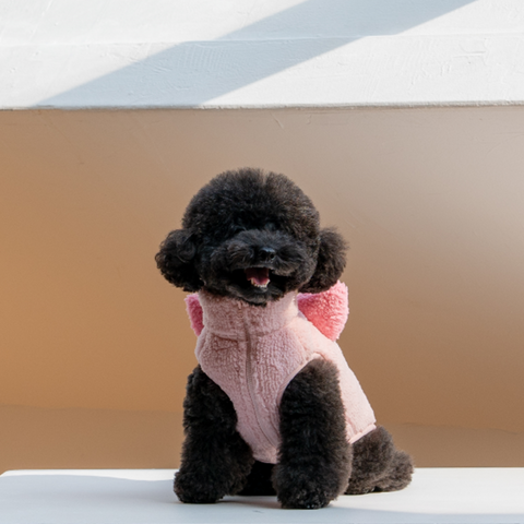 DAN -  Disney fleece jacket _ Piglet