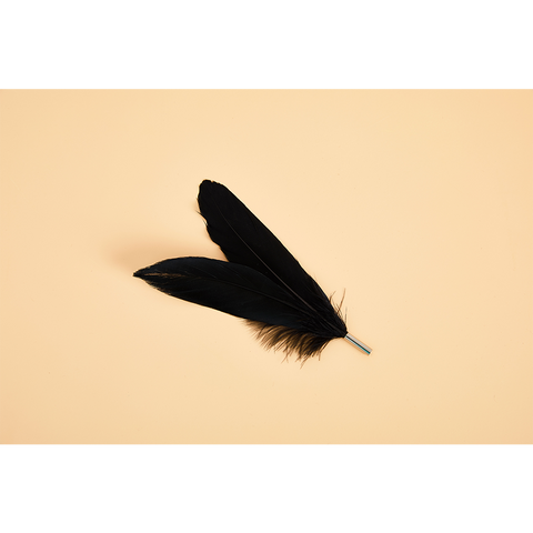 VETRESKA®TEASER WAND WITH LASER HANDLE – FEATHER -REPLACEMENT