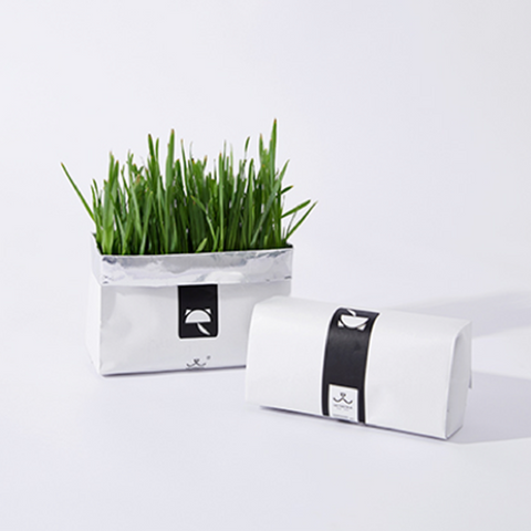 VETRESKA® CAT GRASS SOILLESS SEEDS