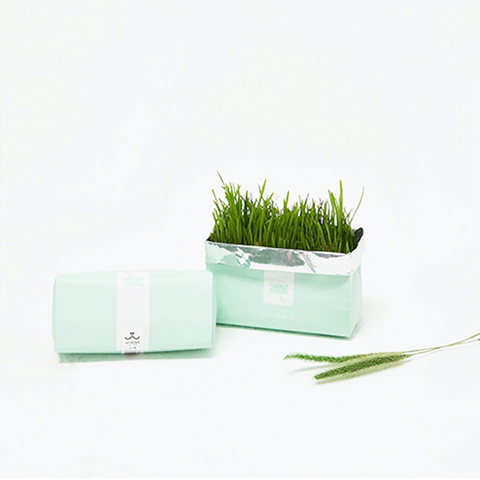 VETRESKA® CAT GRASS SOILLESS SEEDS