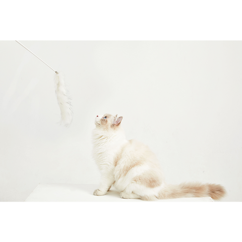 VETRESKA®TEASER WAND WITH LASER HANDLE -FLUFFY TAIL