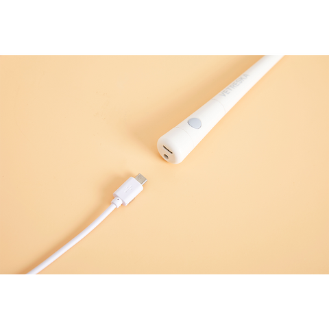 VETRESKA®TEASER WAND WITH LASER HANDLE -FLUFFY TAIL