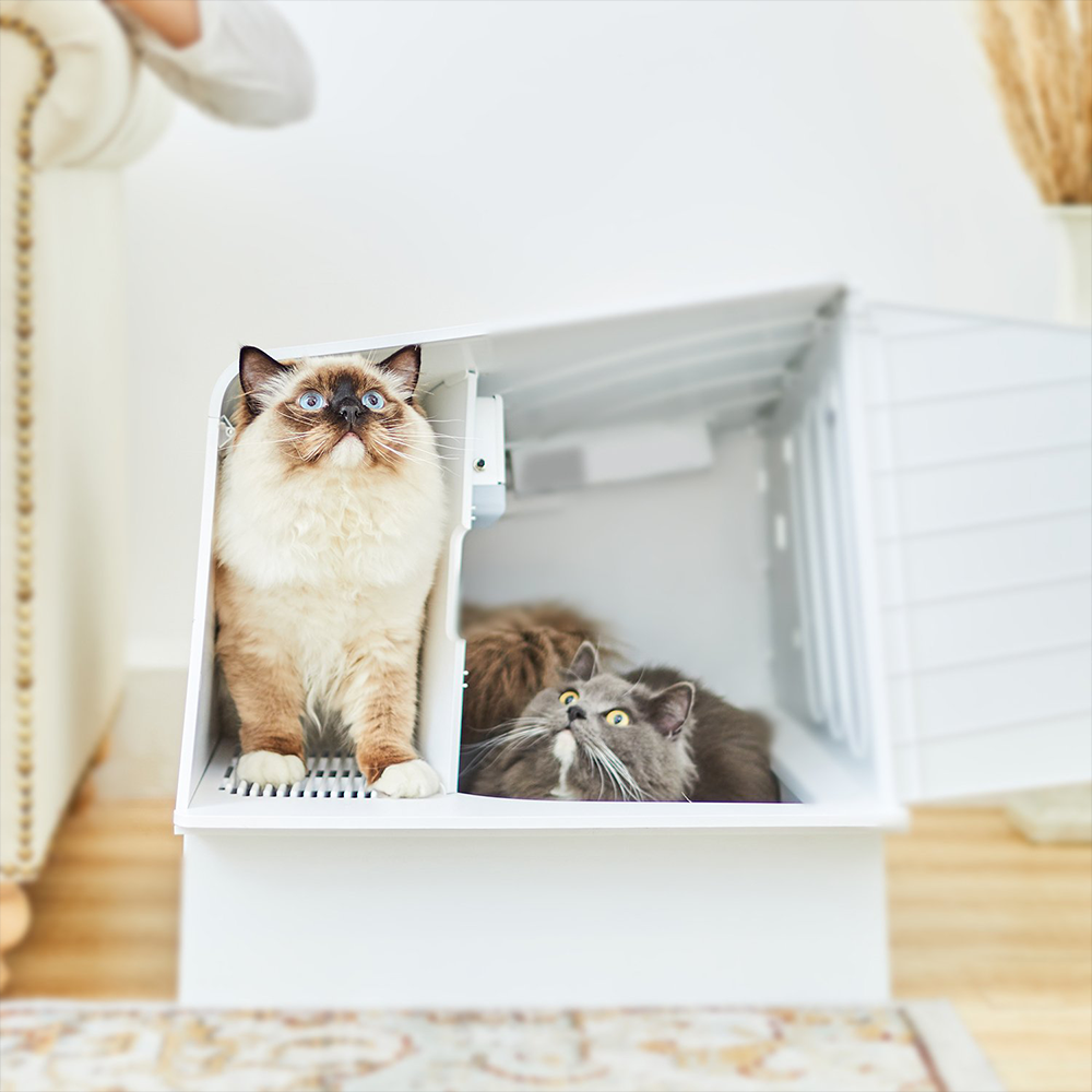 PETKIT Villa Cat Litter Box – White