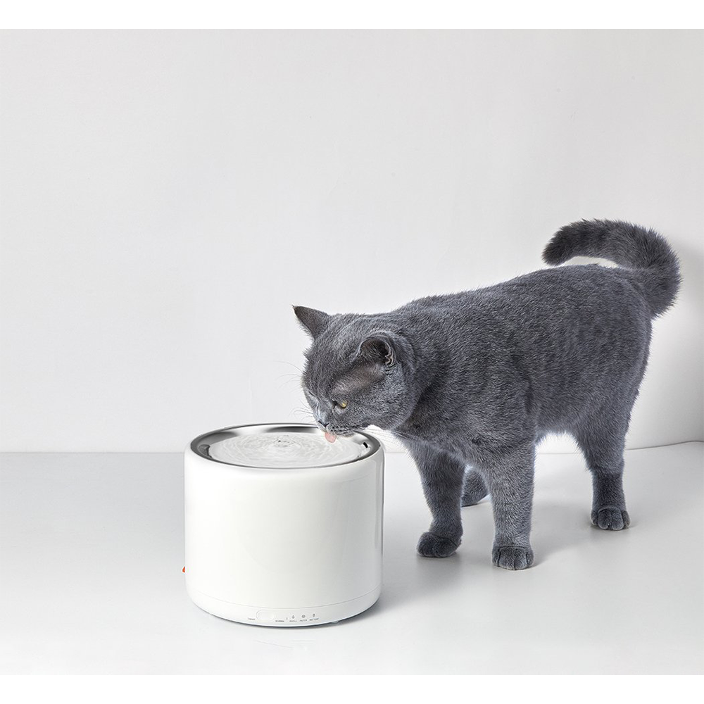 Petkit sales eversweet fountain