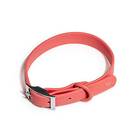 Wild One - Dog Collar Coral Red