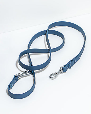 Wild One - Dog Leash Standard (multiple colours)