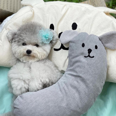Taaffe Hug Me Snuggles — YELLOW / BLUE