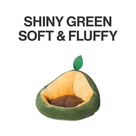 pidan® Pet Nest Avocado Type