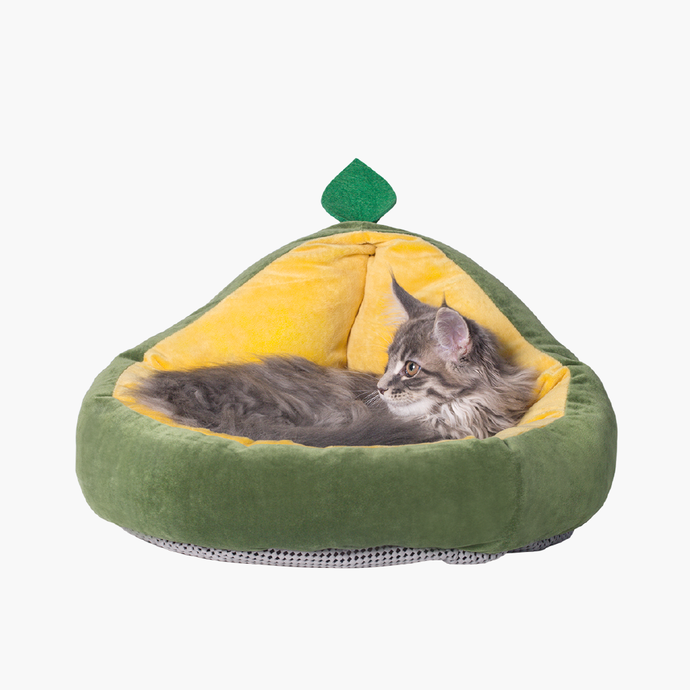 pidan® Pet Nest Avocado Type