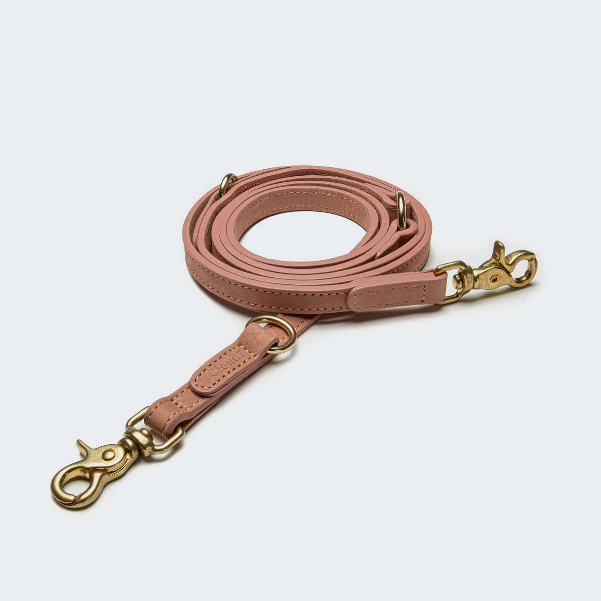 CLOUD7 Dog Leash Tiergarten 2m