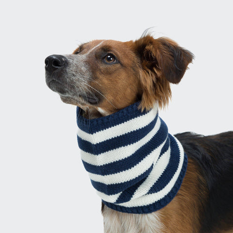 CLOUD7 Knitted Dog Loop Navy/Cream