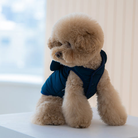 DAN -  Mickey mouse padding _ Navy
