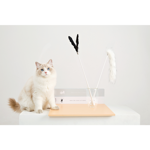 VETRESKA®TEASER WAND WITH LASER HANDLE -FLUFFY TAIL