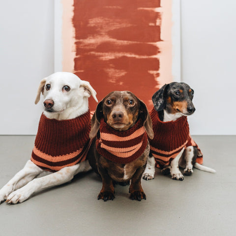 CLOUD7 Knitted Dog Loop Blush/Rust