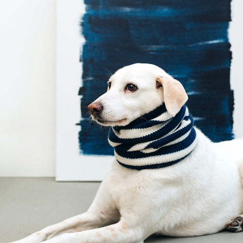 CLOUD7 Knitted Dog Loop Navy/Cream